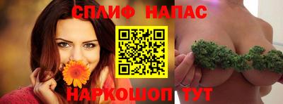 амф Аша