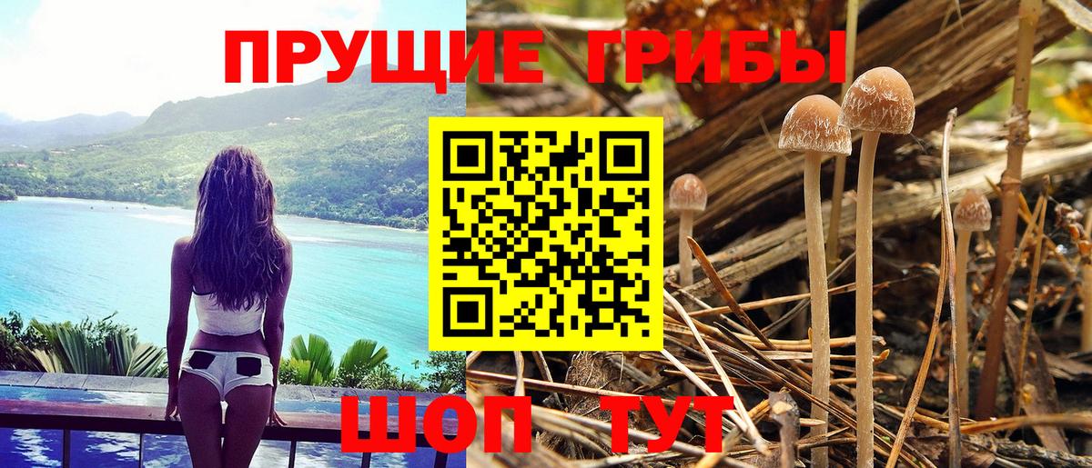 Псилоцибиновые грибы MAGIC MUSHROOMS Малоярославец