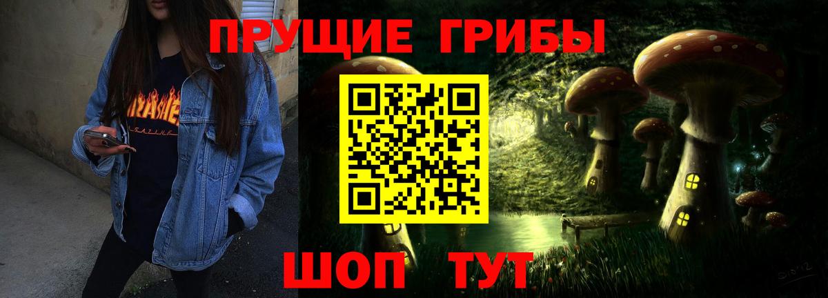 Малоярославец  Галлюциногенные грибы мицелий  Псилоцибиновые грибы прущие грибы  Вход с VPN 